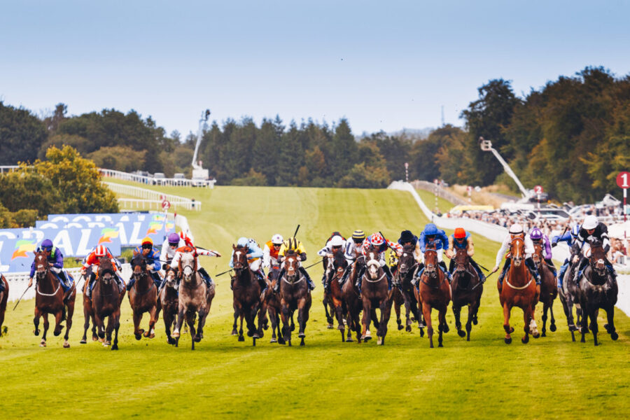 Goodwood picnics